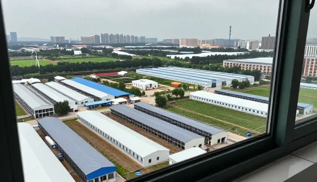 交互设计在页面优化中的性能与适用条件分析
