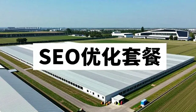 SEO优化选型关注点:多维度分析实际应用场景